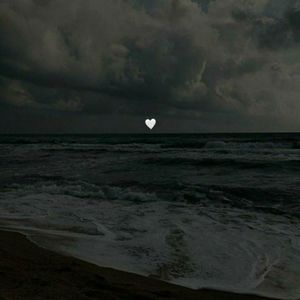 Meet your Posher, Syvannah